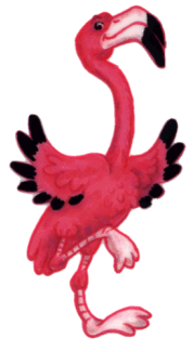 Flamingo