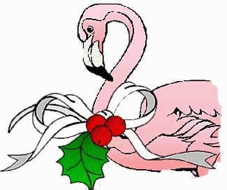 Flamingo tiere bilder