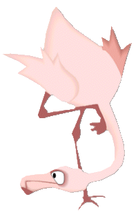 Flamingo tiere bilder