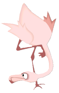 Flamingo