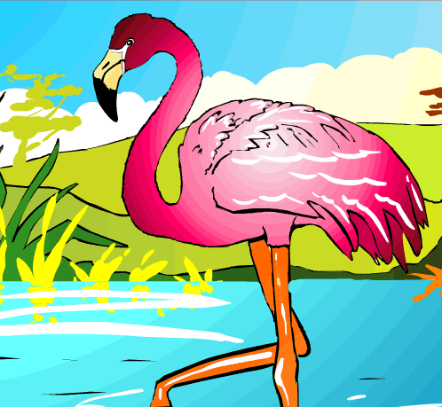 Flamingo