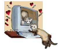Frettchen tiere bilder