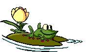 Frosche tiere bilder