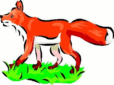 Fuchse tiere bilder
