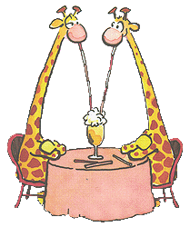 Giraffe tiere bilder