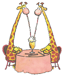 Giraffe tiere bilder