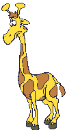 Giraffe tiere bilder