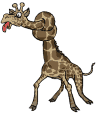 Giraffe tiere bilder