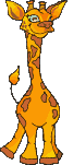 Giraffe tiere bilder