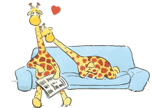 Giraffe tiere bilder