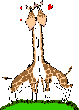 Giraffe tiere bilder