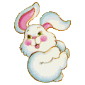 Hase tiere bilder
