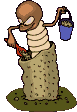 Insekten tiere bilder