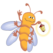 Insekten tiere bilder
