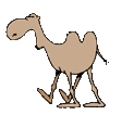 Kamele
