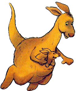 Kanguru tiere bilder