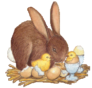Kaninchen tiere bilder