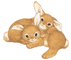 Kaninchen tiere bilder