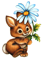 Kaninchen tiere bilder