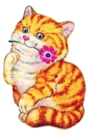 Katzen tiere bilder