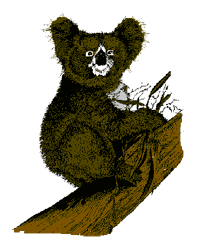 Koala