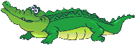Krokodile tiere bilder