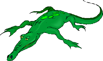 Krokodile