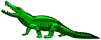 Krokodile tiere bilder