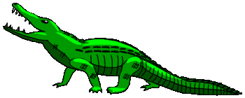 Krokodile