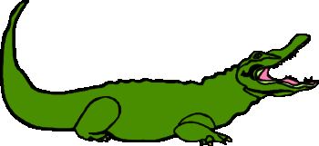 Krokodile