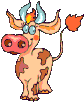 Kuhe tiere bilder