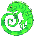 Leguan tiere bilder