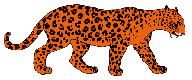 Leopard