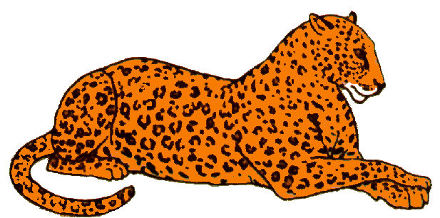 Leopard