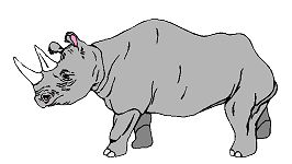 Nashorner tiere bilder
