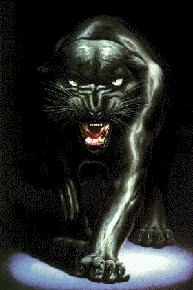 Panther