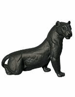 Panther tiere bilder