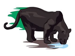 Panther tiere bilder