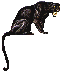 Panther