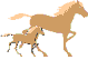 Pferde tiere bilder