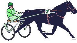Pferde tiere bilder