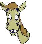 Pferde tiere bilder
