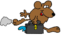 Ratten tiere bilder