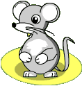 Ratten tiere bilder