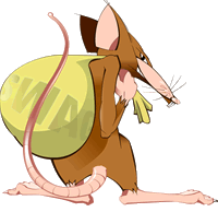 Ratten tiere bilder