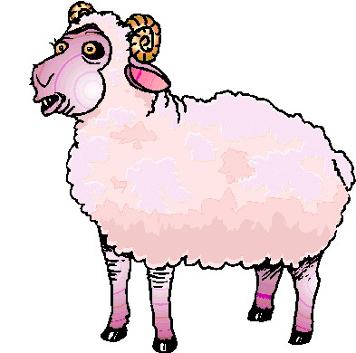 Schafe tiere bilder