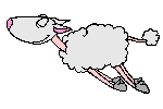Schafe tiere bilder