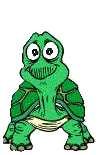 Schildkrote tiere bilder