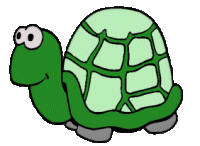Schildkrote tiere bilder