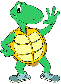 Schildkrote tiere bilder